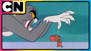 Tom’s Wild Trap Showdown 😲  TomandJerry 😺🐭 Compilation  Cat amp Mouse  Funny Cartoon  cnindia [upl. by Ahsik931]