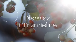 Dławisze i Trzmieliny [upl. by Oribel]