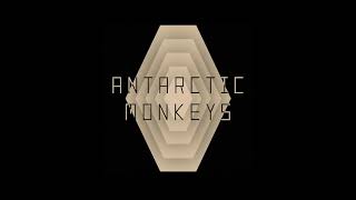 Antarctic Monkeys Promotional Video [upl. by Fortunna]