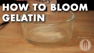 How to Bloom Gelatin  Tutorial Video [upl. by Yoreel]