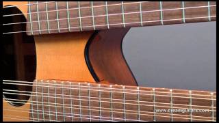 Joe Veillette Double Neck Guitar at Dream Guitars played by Al Petteway [upl. by Alber]