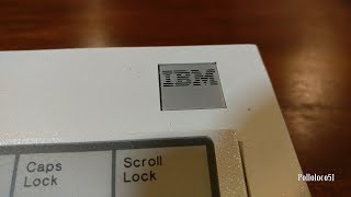 IBM Model M 1390131 Keyboard  First Look [upl. by Merry359]