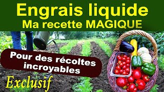 Engrais liquide Ma recette secrète avec seulement 3 ingrédients simples et compatible bio [upl. by Claudetta]