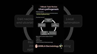 Ulcer pathogenesis and arterial ulcers dermatology medicaleducation [upl. by Etana]