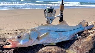 PESCA DE ROBALOS EN COSTA RICA 2 [upl. by Adym]