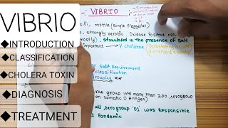 Video no14 Vibrio cholera  introduction classifications cholera toxin diagnosis treament [upl. by Ecaroh]