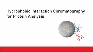 Hydrophobic Interaction Chromatography for Protein Analysis [upl. by Ona]