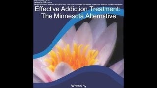 The Addiction Show with Non 12 Step Minnesota Alternatives [upl. by Donoho]