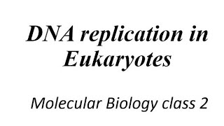 DNA replication in Eukaryotes [upl. by Nadine]