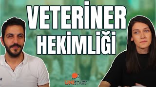 VETERİNER HEKİMLİK  13 Soruda Veteriner Fakültesi [upl. by Tsenrae]