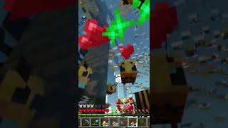 More Bee Songs shorts minecraft [upl. by Maunsell]