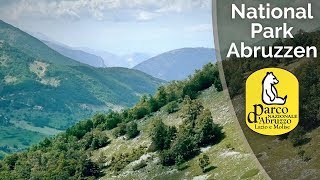 Nationalpark Abruzzen Wanderung am Monte Godi  Italiens Wildnis [upl. by Mufi]