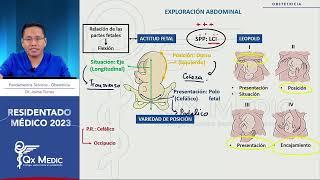 Obstetricia  2 Evaluación gestacional [upl. by Ad]