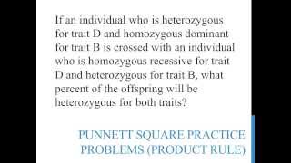 Punnett square practice problems product rule [upl. by Sosthena]