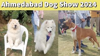 Dog Show Ahmedabad 2024  samoyed cocker spaniel Boxer Pug german shepherd siberian husky [upl. by Assirialc]