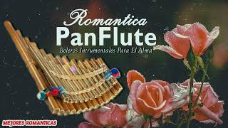 The Worlds Most Pan Flute Music  Top 50 Pan Flute Relaxing Romantic Music Of All Time [upl. by Talya]