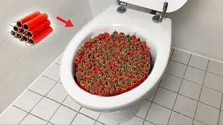 1000 Firecrackers vs Toilet [upl. by Noe]