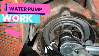 Generator Water Pump Seal Remove amp Fitting Work GUASCOR GAS [upl. by Margaretha796]