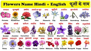 Flowers Name in English And Hindi With PDF  फूलों के नाम  flowers with pictures [upl. by Falzetta]