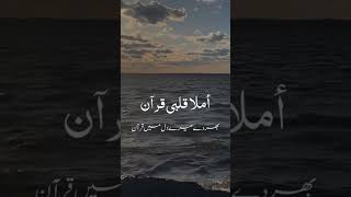 Heartwarming Nasheed by Mishary Rashid Alafasy A Journey of Faith and Peace rahman nasheed short [upl. by Anialam]