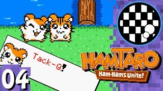 Hamtaro Ham Hams Unite  PART 4 FINALE [upl. by Laekim]