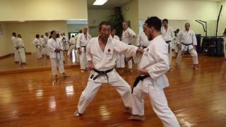 Master Osaka explains strike and shift for Heian Yondan [upl. by Etac]