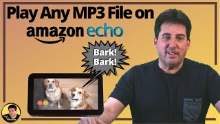 Solved How to Record and Download Your Amazon Music Songs Locally  100 Work [upl. by Ayekat]