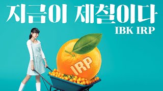 절세혜택 받기 딱 좋은 지금 귤  IBK기업은행 IRP [upl. by Arquit]