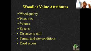 How Properly Implemented Tree Marking Enhances the Value of Your Property Over Time [upl. by Ebonee]