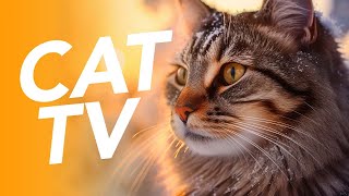 CAT TV  4K Underwater Swimming Video for Cats  10 Hours of Fish Entertainment [upl. by Anavoig636]