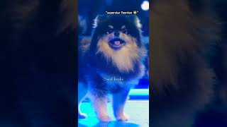 Kim Yeontan is so smart jst like his dad Kim Taehyung🤭😍💜 [upl. by Avan]