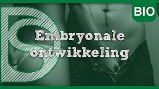 Biologie  Embryonale ontwikkeling Voortplanting [upl. by Mateo510]