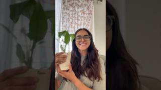 Ugaoo plant review  Quick commerce Buy [upl. by Rurik]