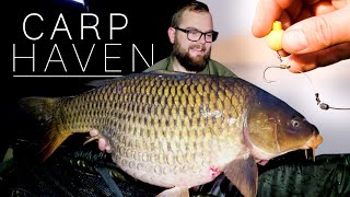 Carp Fishing for BIG CARP in South Africa at Carp HAven New Personal Best Rig Explained [upl. by Inaffets]