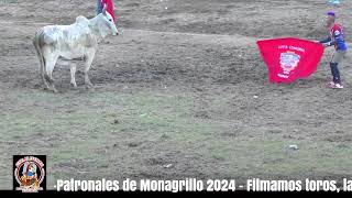 Toros en Monagrillo 3 de octubre [upl. by Ailegra486]