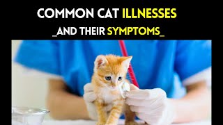 Cat Illnesses Signs and Treatment  Common cat illnesses and their symptoms [upl. by Vitek211]