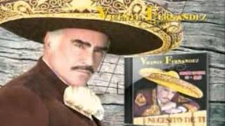 Vicente Fernandez Guadalajara [upl. by Marleen725]