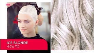 Ice Blonde Hair with Zoe Irwin  Wella Professionals [upl. by Frear345]