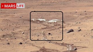 NASA Mars Rover Sent Super Incredible Footage of Mars Perseverance and Curiosity Rover Mars in 4K [upl. by Henley]