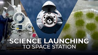 Science Launching on SpaceXs 31st Cargo Resupply Mission to the Space Station [upl. by Niram]