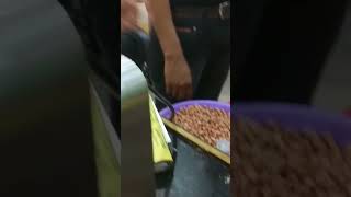 Groundnut oil making machine somethingnew maharashtra 2023shorts pimprichinchwad [upl. by Goran673]