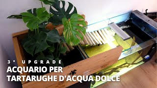 TERZO Upgrade ACQUARIO PER TARTARUGHE ACQUATICHE  Sternotherus odoratus  Rettili Tarta Guida [upl. by Drarehs]