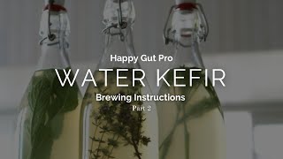 Water kefir brewing instructions  Part 2 [upl. by Nylareg406]