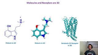 Psilocin bound to Serotonin Receptors Part 1 [upl. by Aisayt]