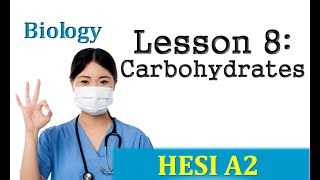 HESI Biology Review  Lesson 8 Carbohydrates [upl. by Aihsenet]