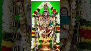 Srinivasa Govinda devotional song [upl. by Barcus]