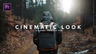 How to get the CINEMATIC LOOK in Premiere Pro Tutorial [upl. by Aniakudo]