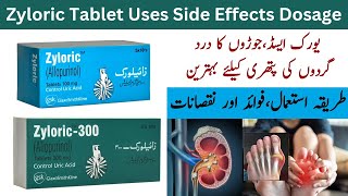 Zyloric 300 Mg Tablet  Zyloric 100mg Tablet  Zyloric Tablet Kis Kaam Aati Hai [upl. by Garnette]