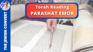 PARASHAT EMOR  Weekly Torah Reading in Hebrew amp English Translation  TORAH STUDY [upl. by Neret]