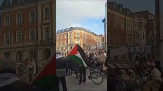 Copenhagen Denmark freepalestine protest trendingshorts [upl. by Ordnazil250]